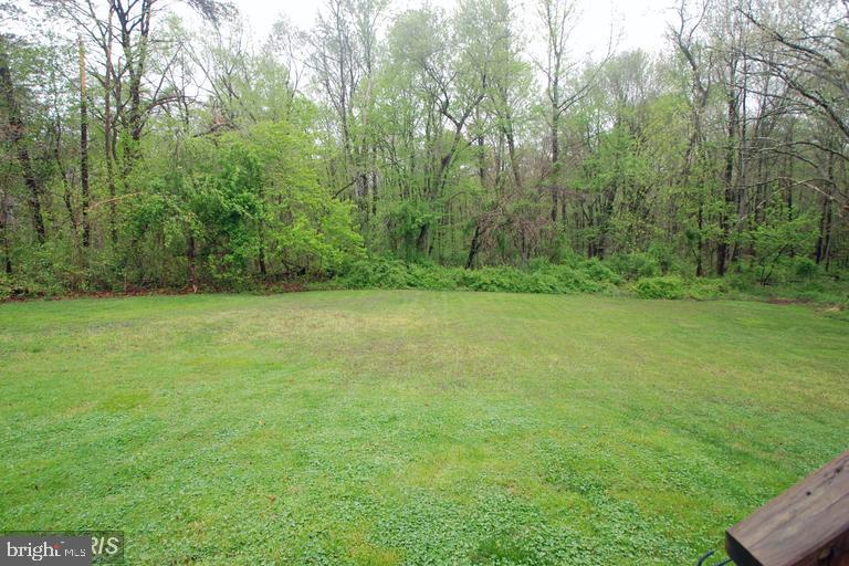150 Marley Road Elkton, MD 21921 - Photo 7 of 7 Lush green expanse meets tranquil woods.