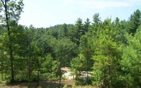 Lot 8 Rockridge Road Murphy, NC 28906 - Photo 1 of 1 Main View