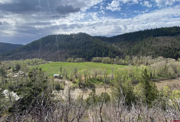 a view of a swimming pool and trees in the background
