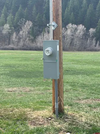 a view of a wooden house with a big yard and large tree