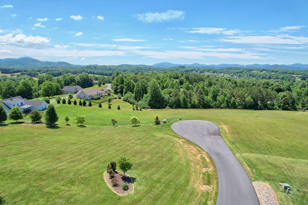 Lot 20 Bonney Ridge Road Blairsville, GA 30512 - Photo 8 of 20 Gallery Image 8