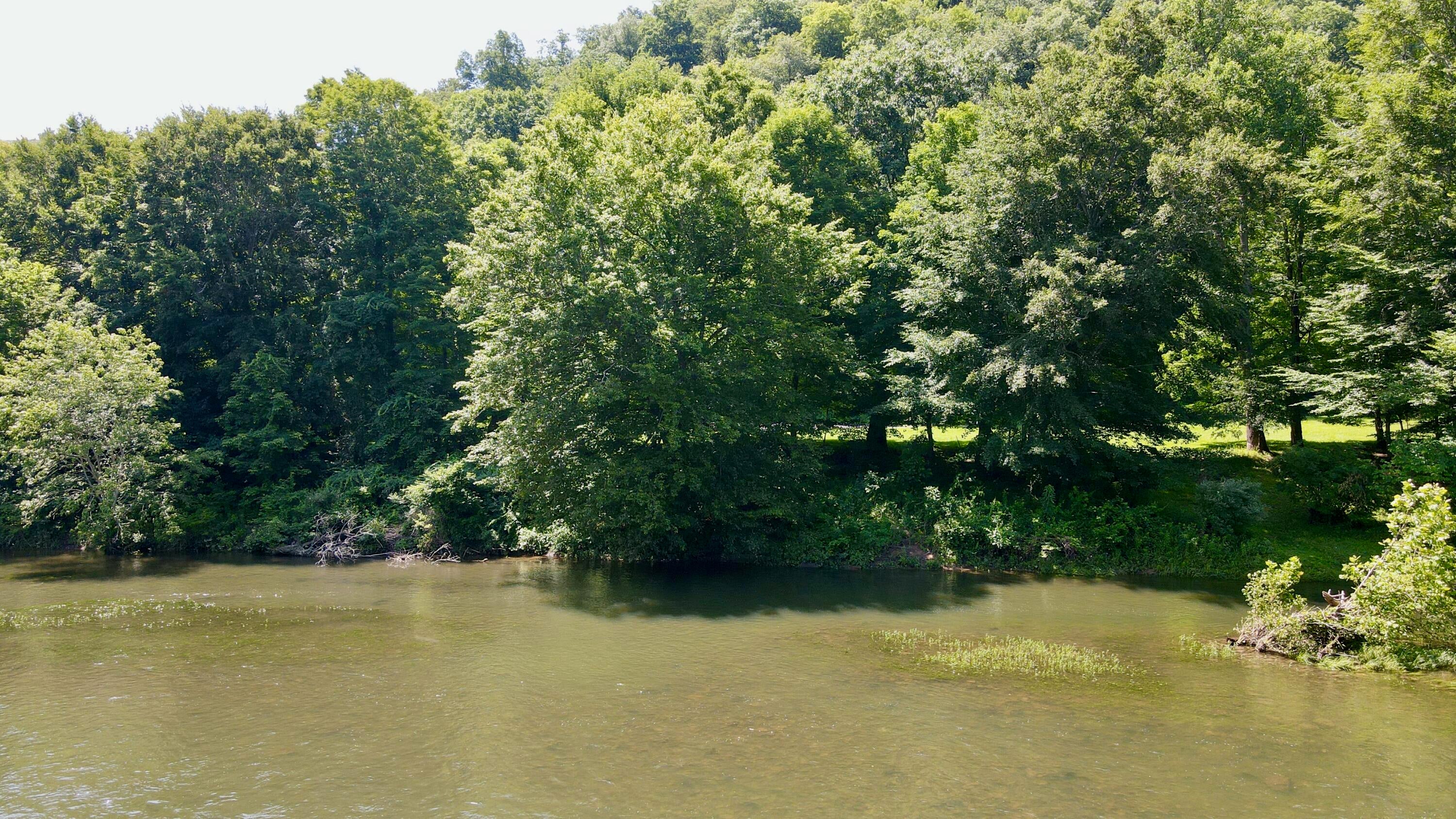 557 Fox Run Road Caldwell, WV 24925 - Photo 14 of 20 Gallery Image 14