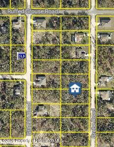 13457 Grebe Road Weeki Wachee, FL 34614 - Photo 2 of 3
