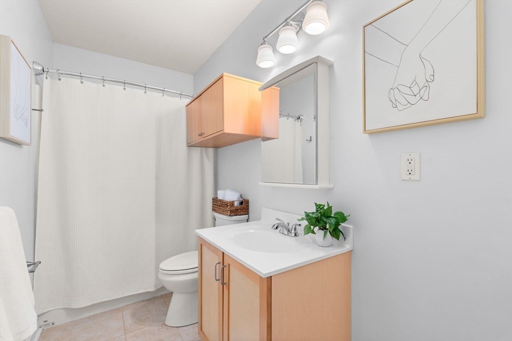 327 Centre Street, Unit 308 Boston, MA 02130 - Photo 9 of 13 a bathroom with a sink a toilet and mirror