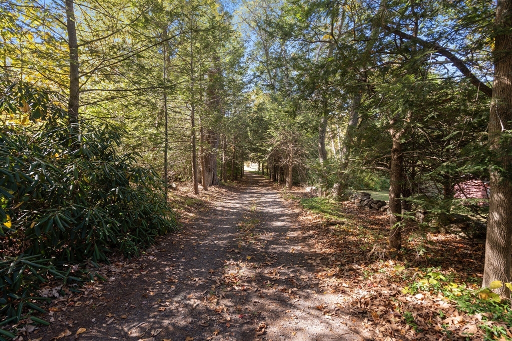 91 Glen Street Natick, MA 01760 - Photo 2 of 39 a view of a forest with trees