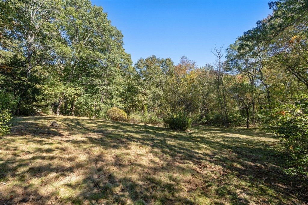 91 Glen Street Natick, MA 01760 - Photo 36 of 39 a view of outdoor space and yard