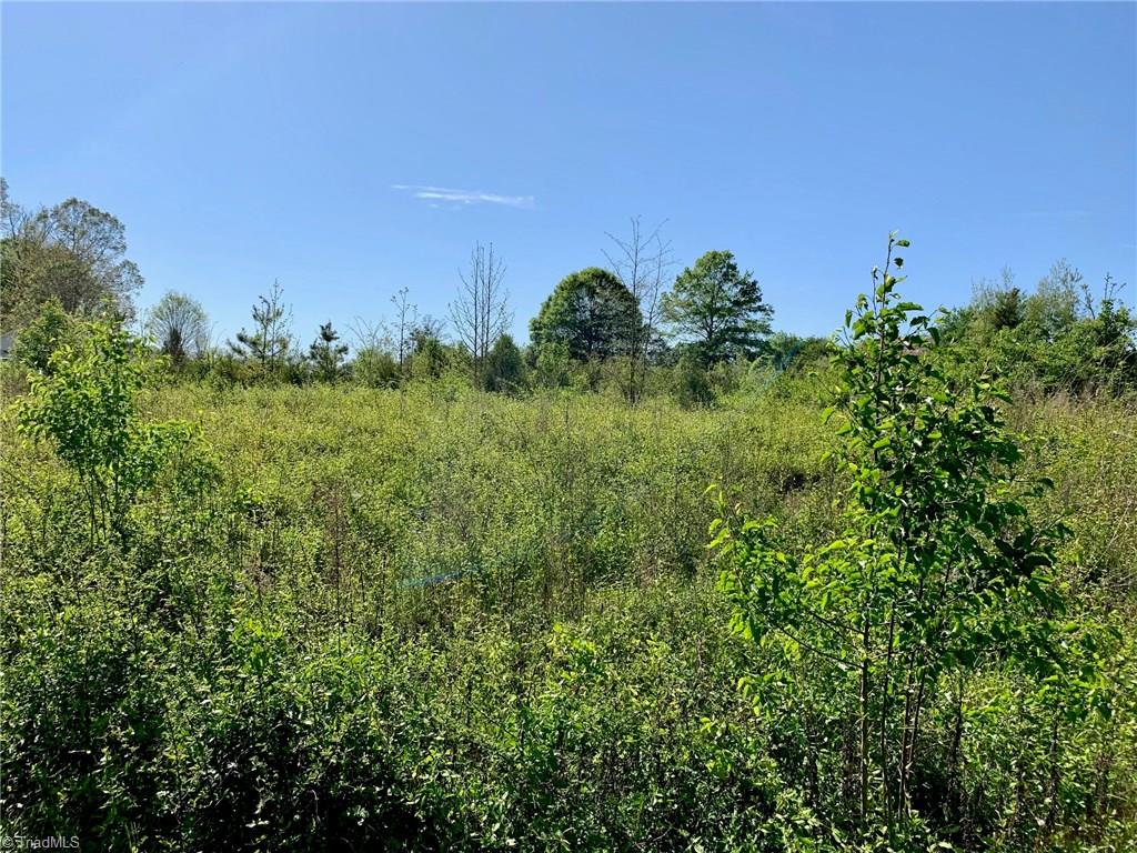 234 Swicegood Road Linwood, NC 27299 - Photo 8 of 8