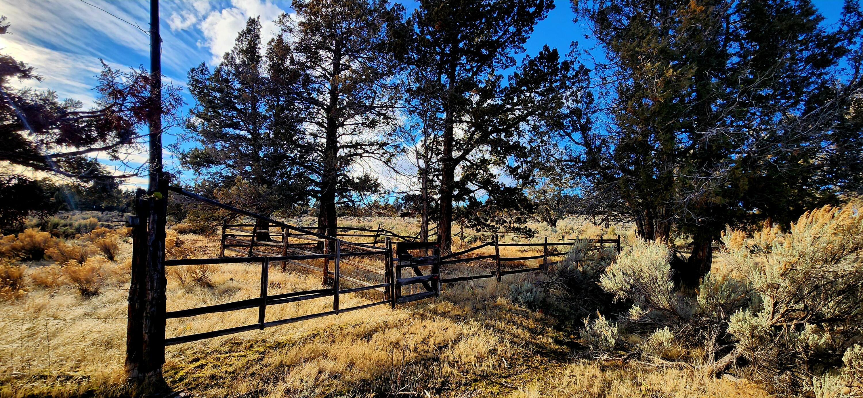 Merrill Road, Unit TL 1800 Prineville, OR 97754 - Photo 8 of 16 320ac_Img10