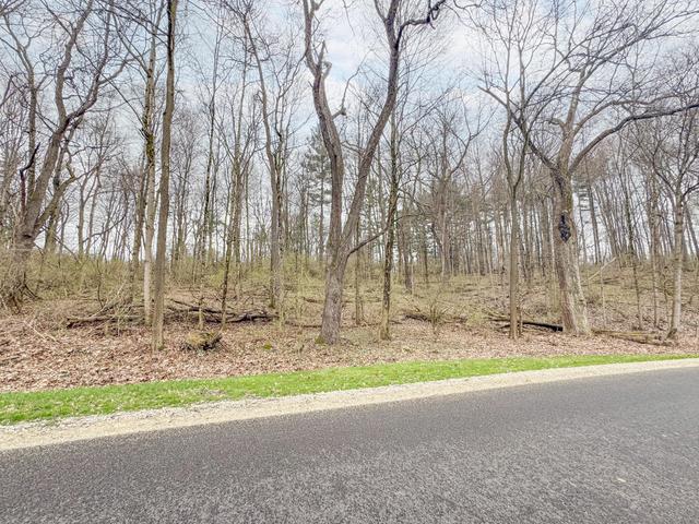 --- Childrens Home Road Sidney, OH 45365 - Photo 9 of 10 This expansive lot offers abundant natural beauty, perfect for a private sanctuary.