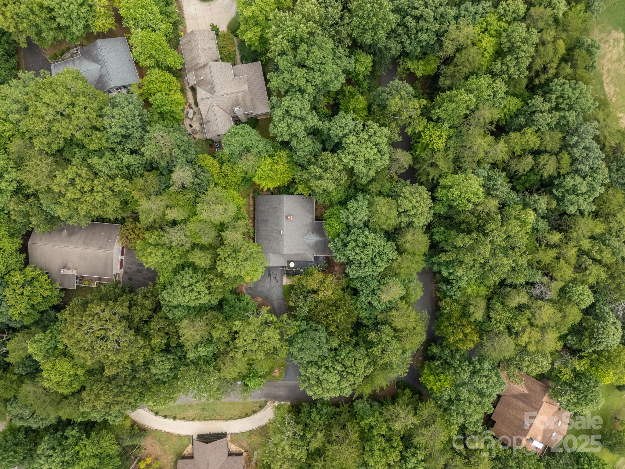 134 Downing Place Lake Lure, NC 28746 - Photo 31 of 35 a view of a outdoor space and a yard