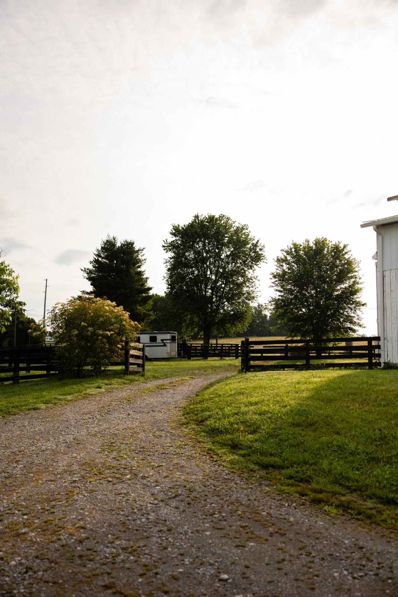 6615 Eudailey-Covington Road College Grove, TN 37046 - Photo 71 of 74 Gallery Image 71