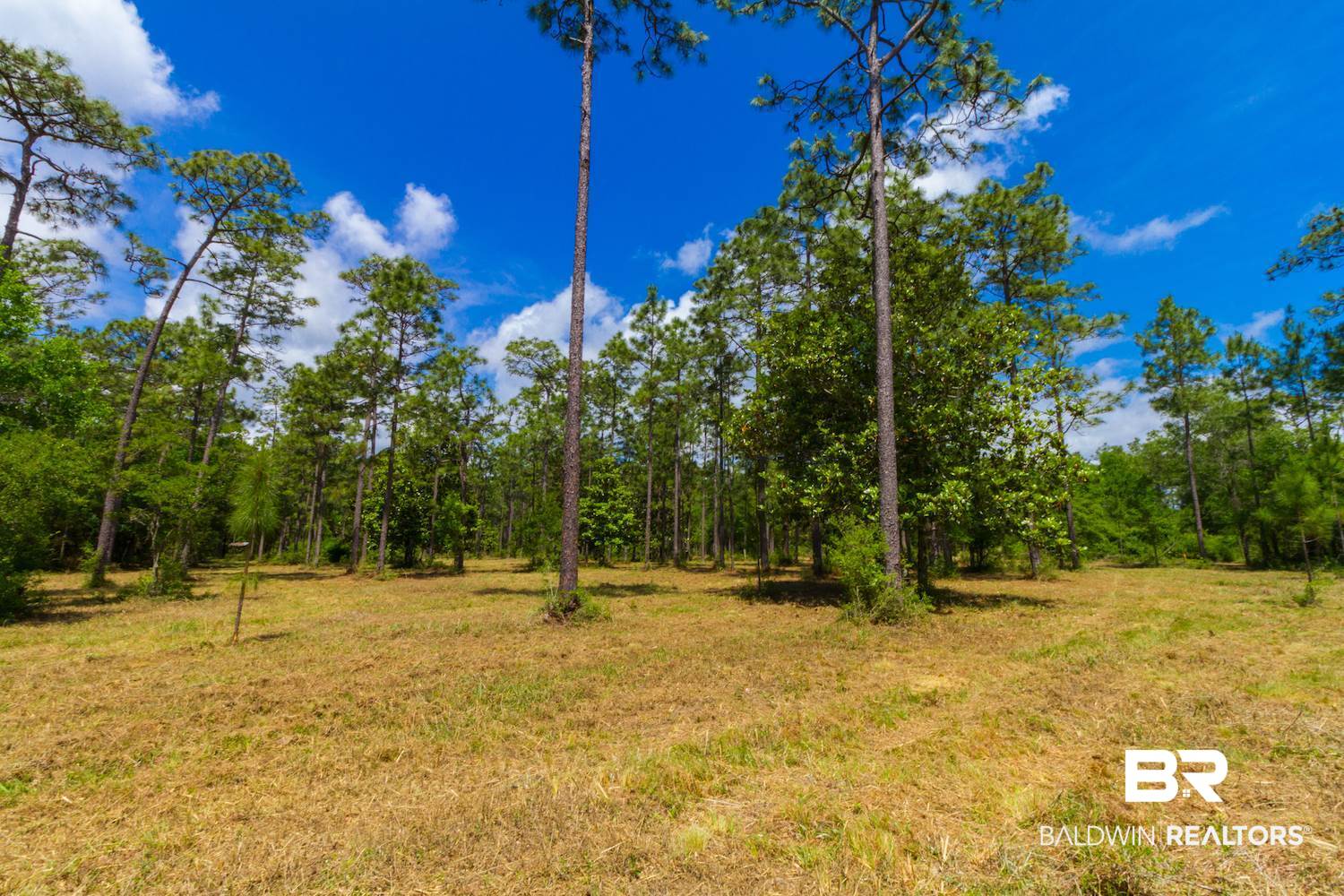 8844 Red Fish Pt Road Lillian, AL 36549 - Photo 11 of 16 Gallery Image 11