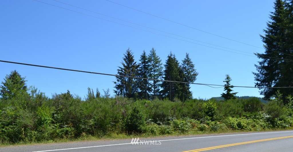 9999 Lot 4 Merchants Rd Forks Forks, WA 98331 - Photo 1 of 2 Gallery Image 1