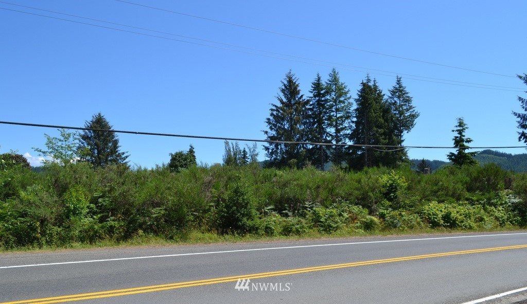 9999 Lot 4 Merchants Rd Forks Forks, WA 98331 - Photo 2 of 2 Gallery Image 2