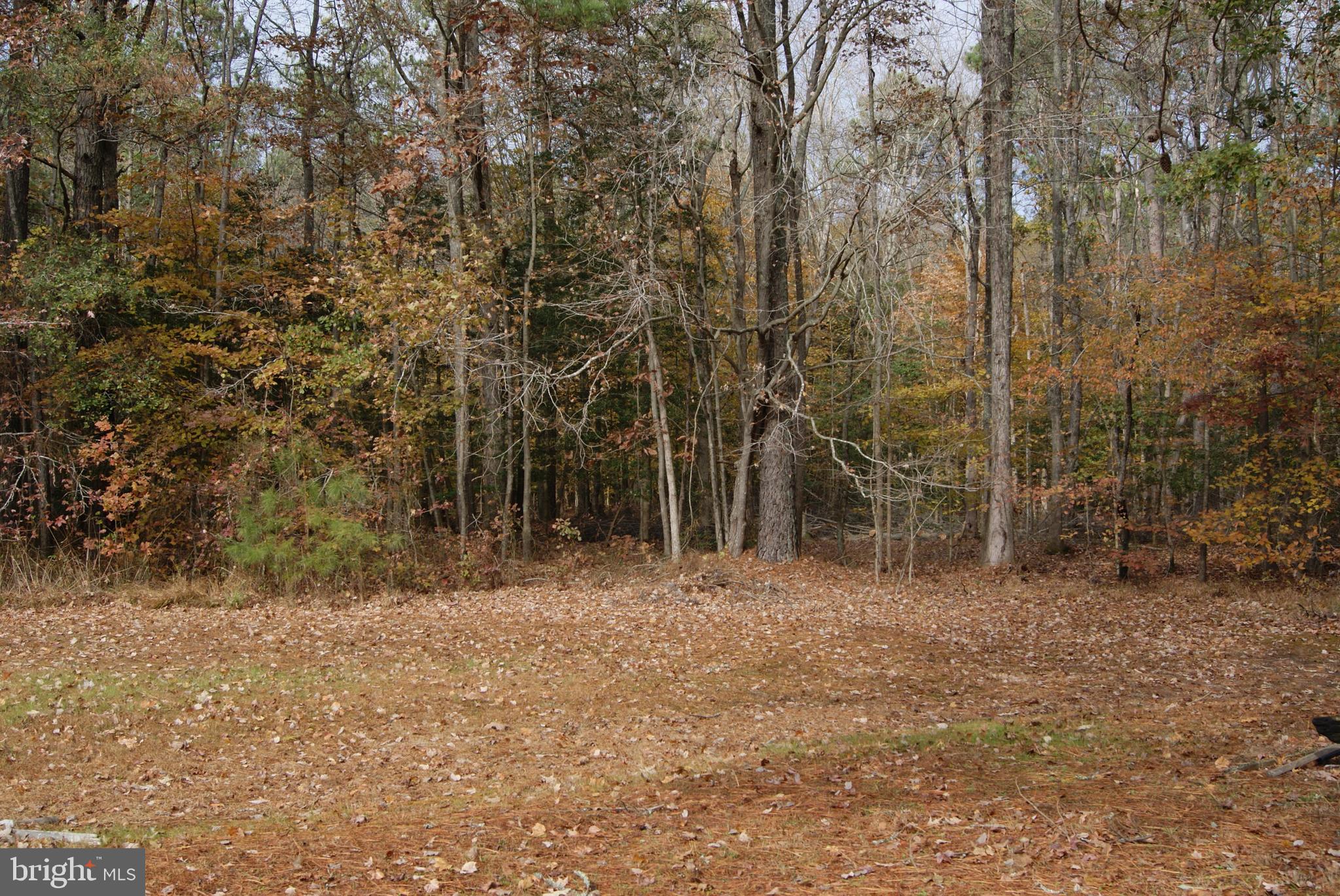 23230 Nanticoke Road Quantico, MD 21856 - Photo 18 of 20