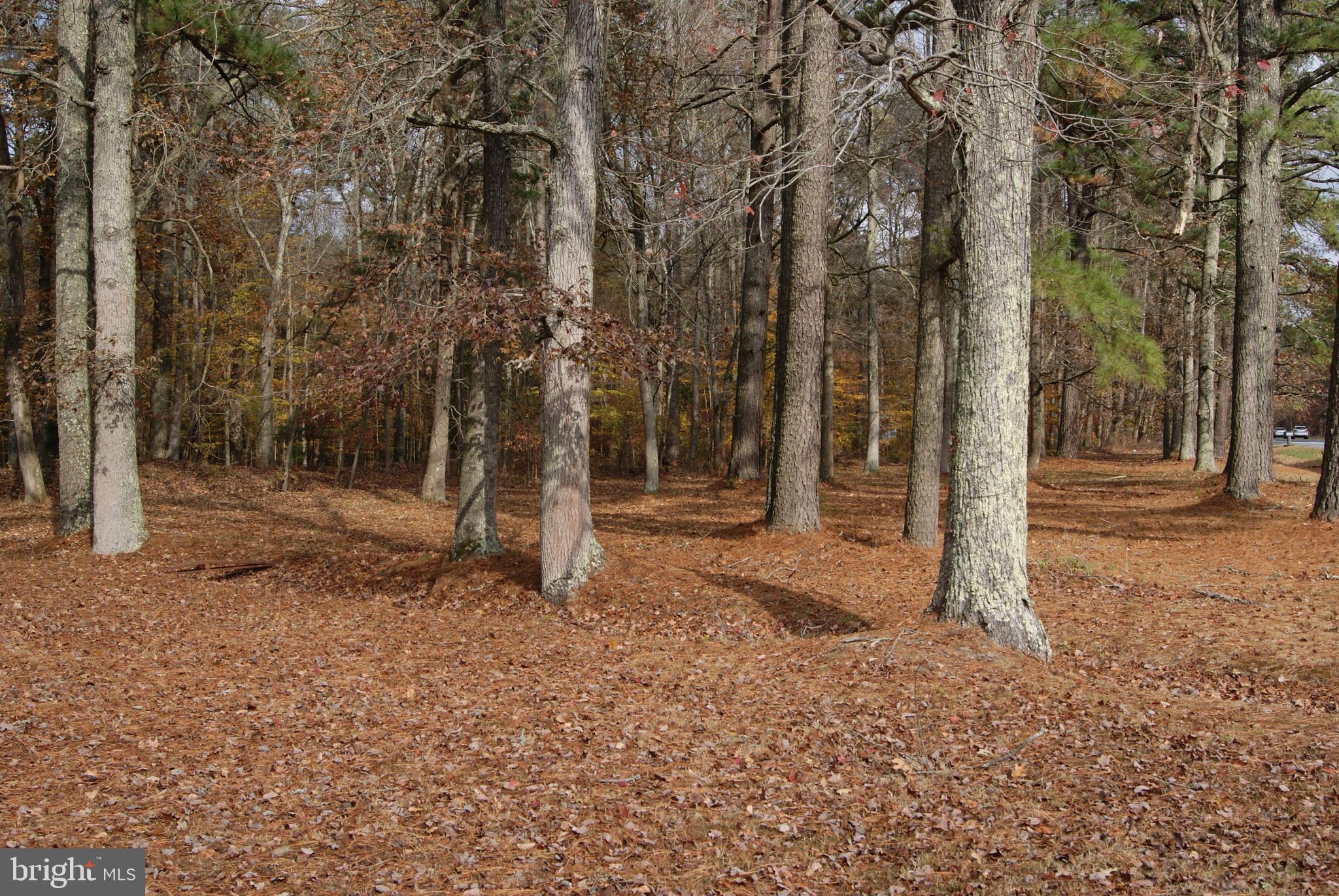 23230 Nanticoke Road Quantico, MD 21856 - Photo 20 of 20