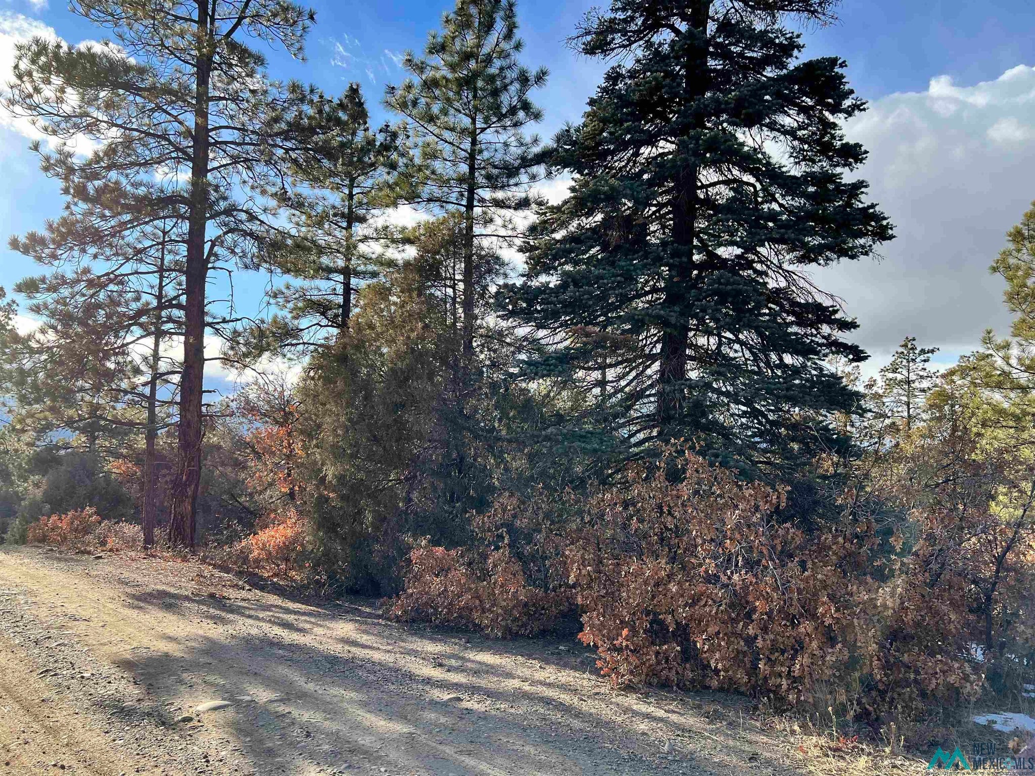 1781 Rd Chama Nm 87520 Chama, NM 87520 - Photo 1 of 1 Gallery Image 1