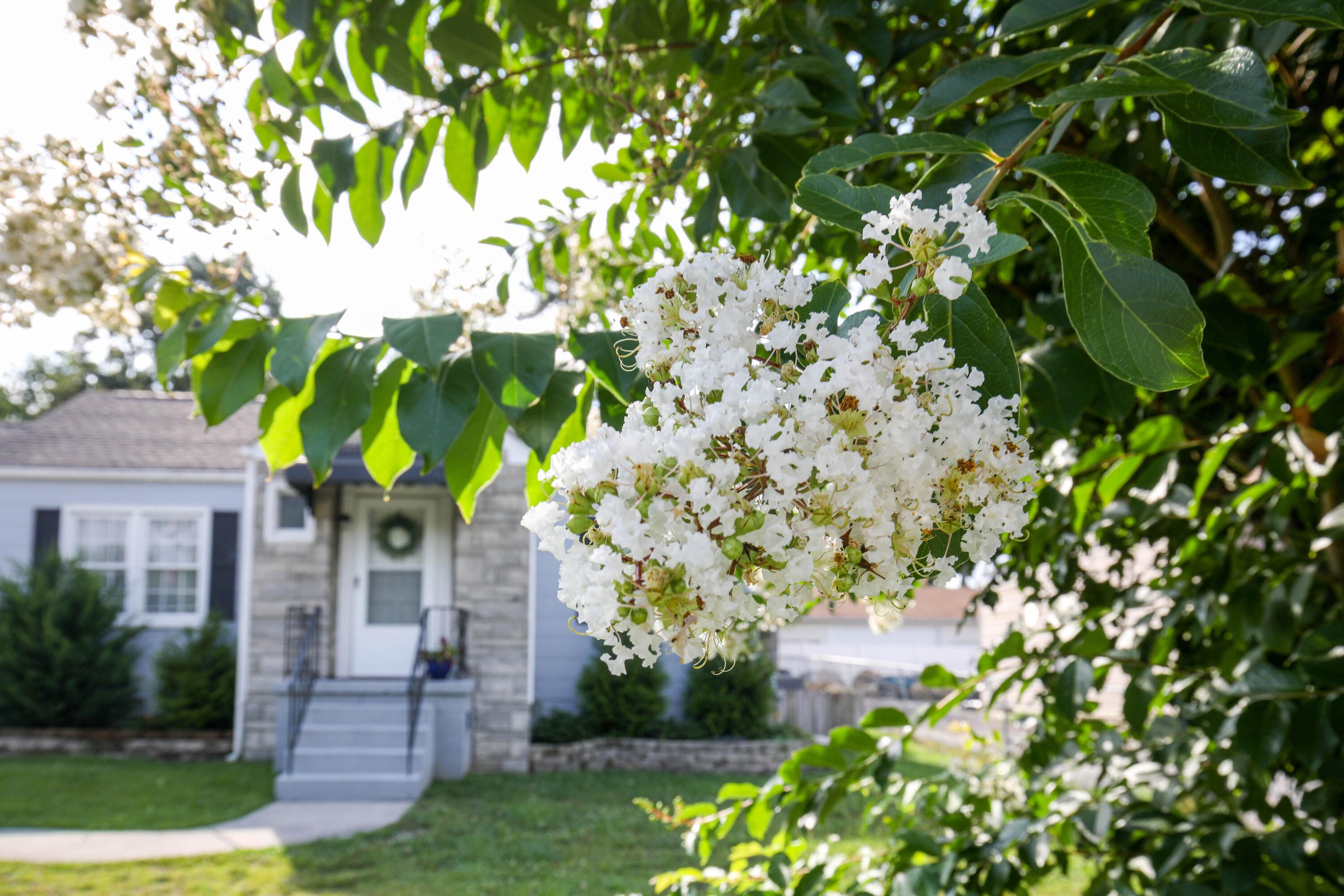 1513 Maxwell Road Chattanooga, TN 37412 - Photo 8 of 41 Lush Mature Landscaping