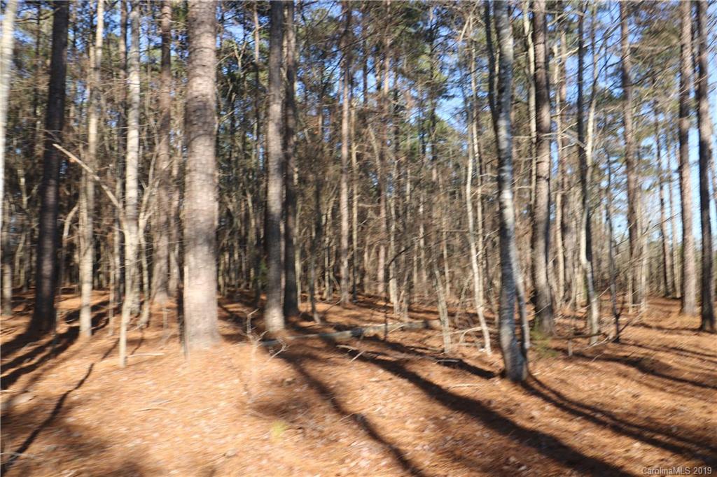 B Mission Road, Unit B York, SC 29745 - Photo 11 of 12