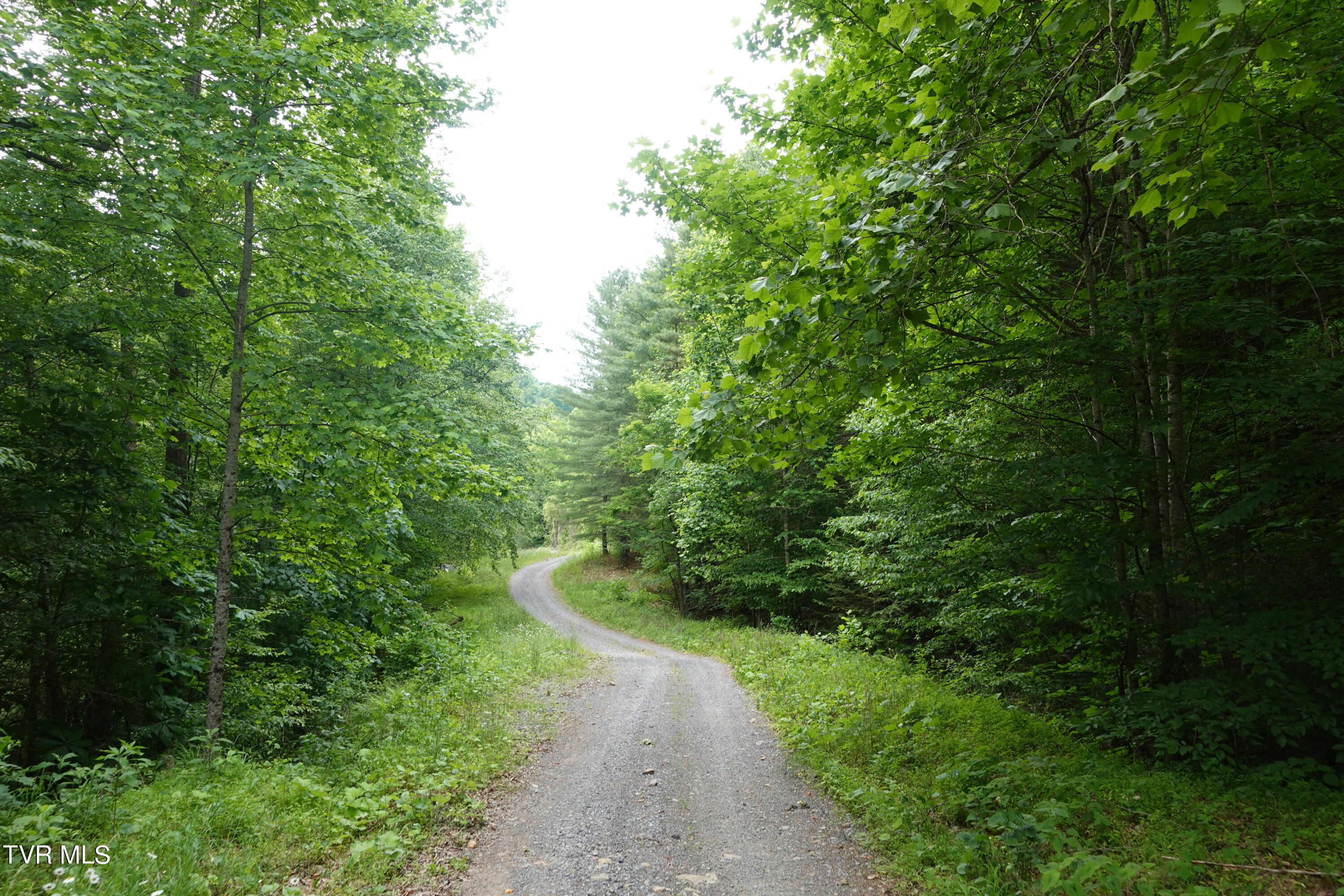 639 Dream Farm Road Birchleaf, VA 24220 - Photo 147 of 153 DSC00381