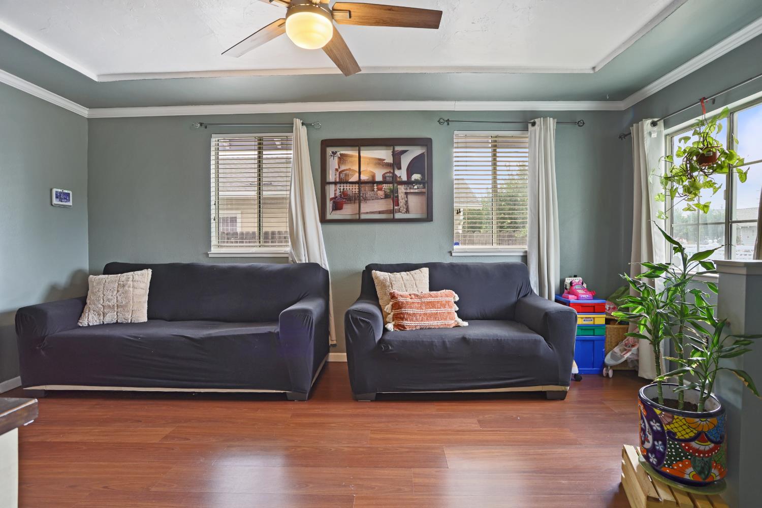 513 Harold Street Lodi, CA 95240 - Photo 7 of 29 a living room with furniture and a potted plant