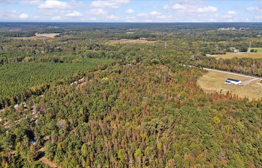 890 Asaville School Road Anderson, SC 29621 - Photo 6 of 9