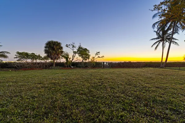 a view of a field with trees in the background
