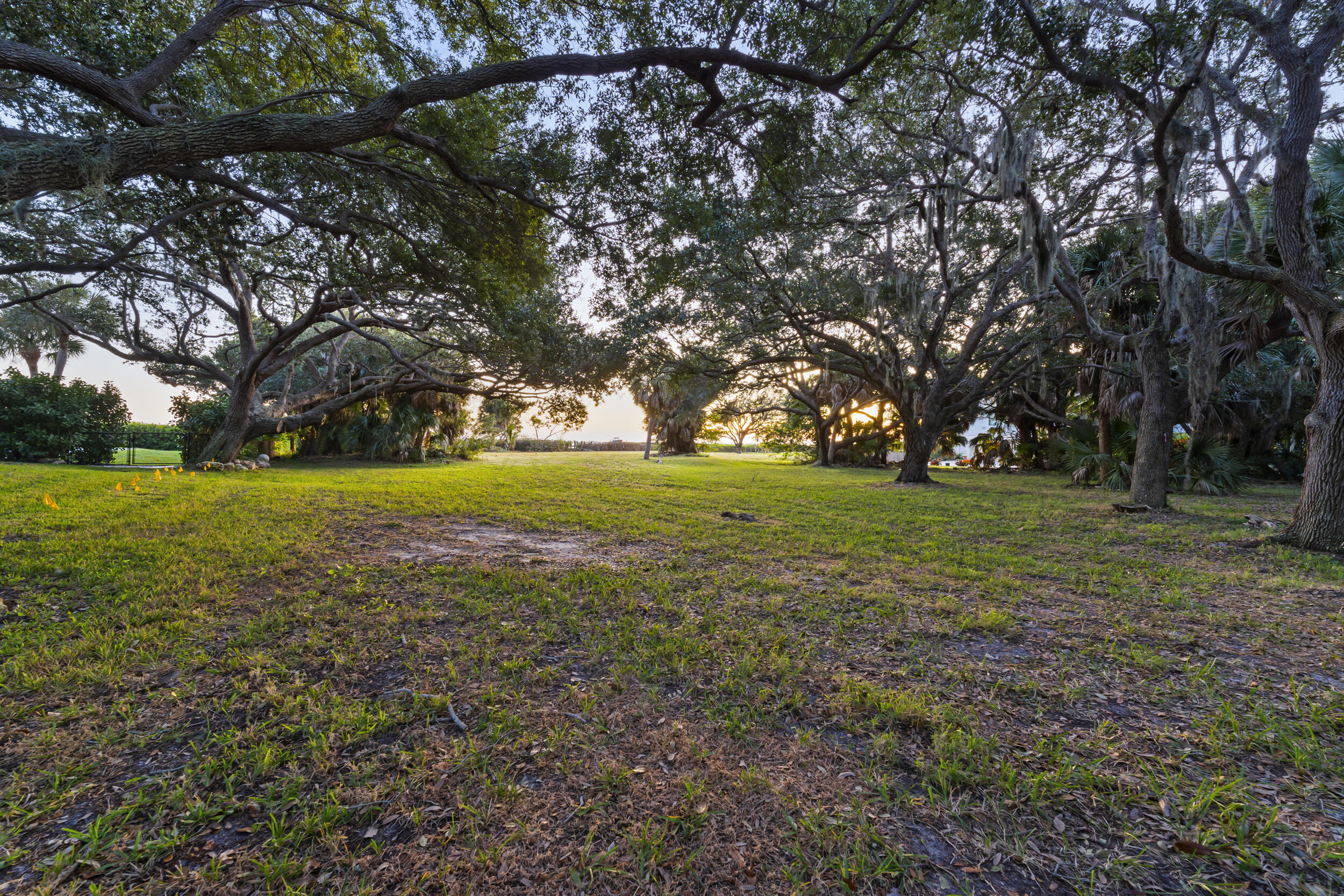 36 South Sewalls Point Road Sewall's Point, FL 34996 - Photo 21 of 38 a view of a field with trees