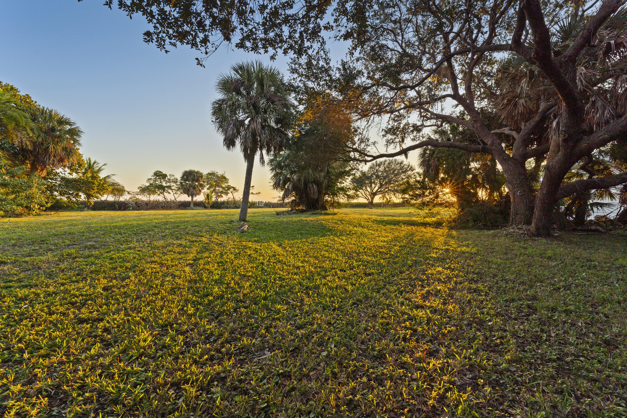 36 South Sewalls Point Road Sewall's Point, FL 34996 - Photo 24 of 38 a view of yard with an trees