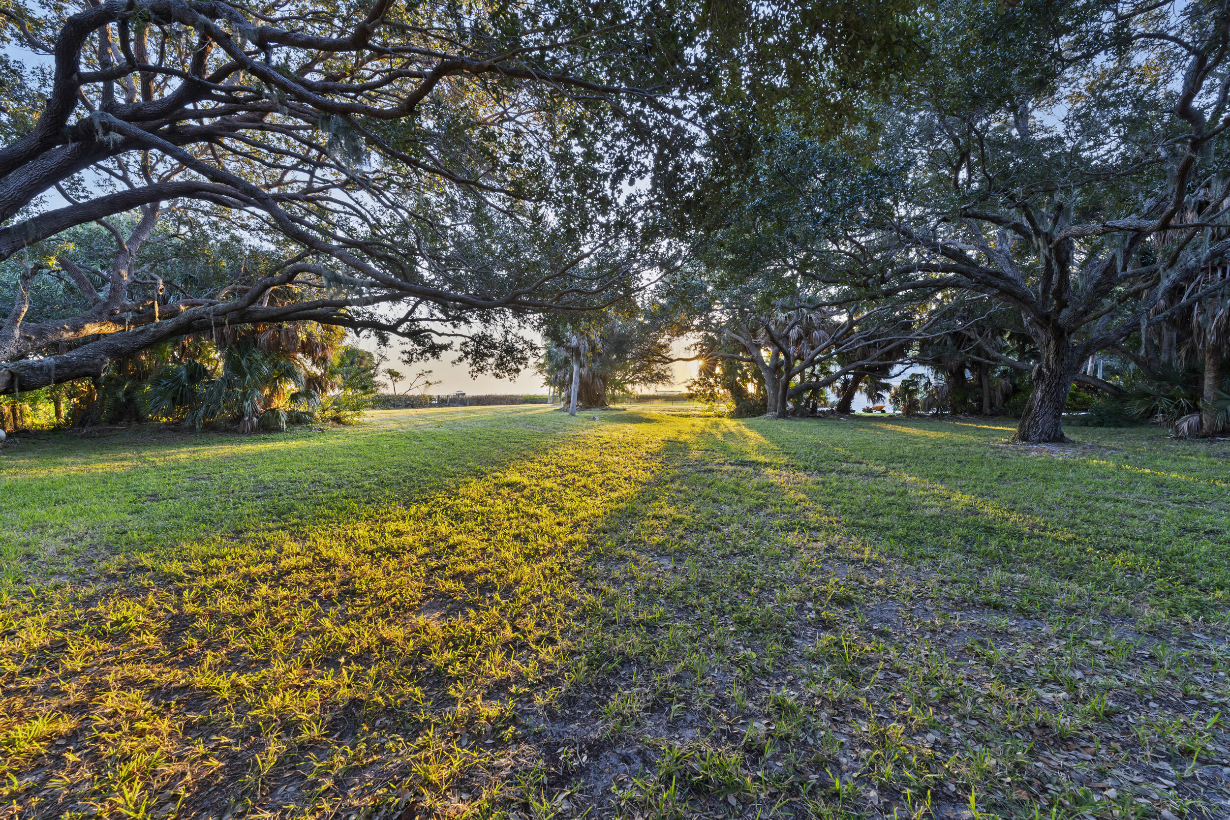 36 South Sewalls Point Road Sewall's Point, FL 34996 - Photo 25 of 38 a view of a field with trees in the background