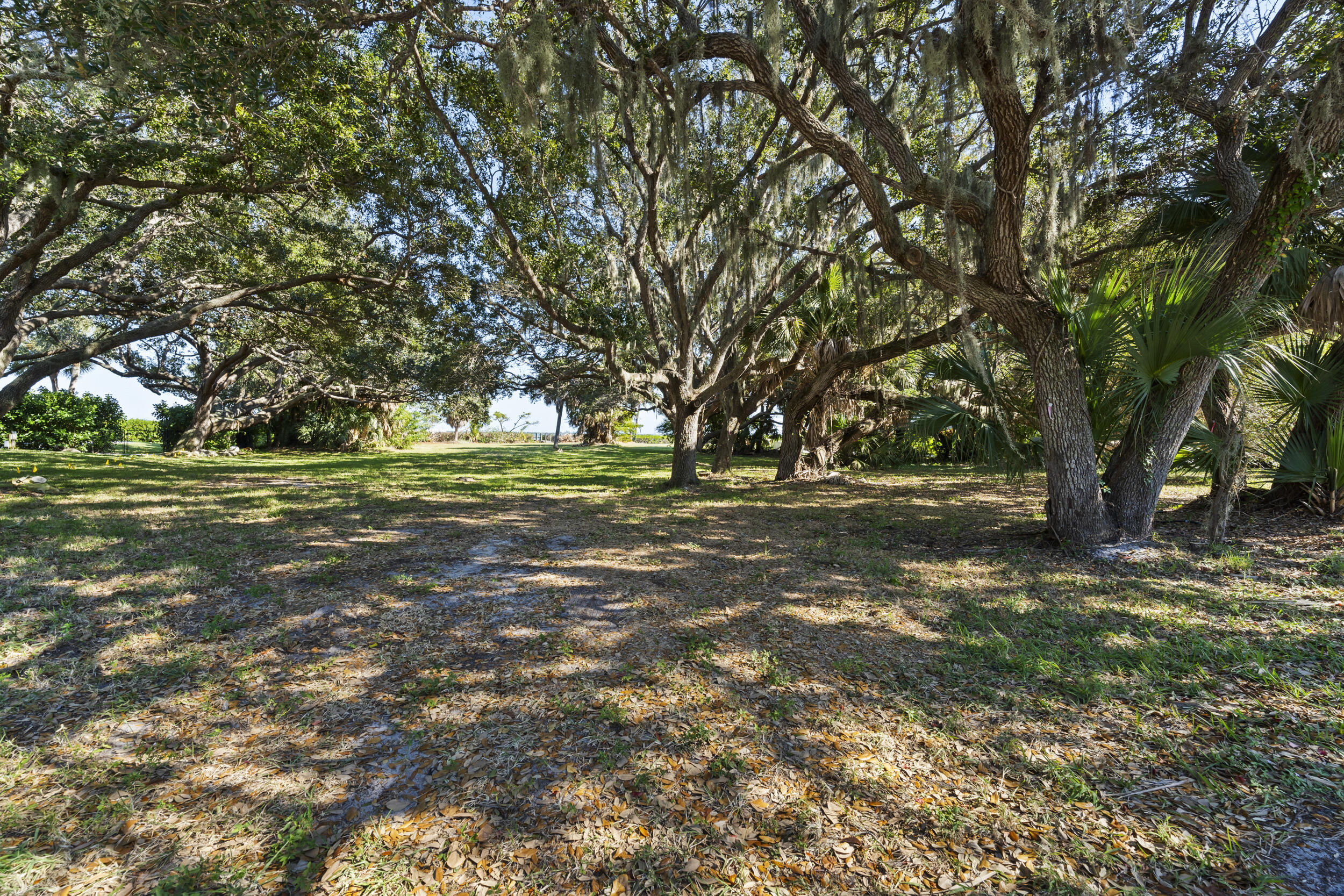 36 South Sewalls Point Road Sewall's Point, FL 34996 - Photo 26 of 38 a view of outdoor space with trees all around