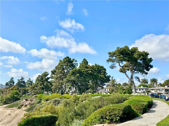 a view of a tree with a yard