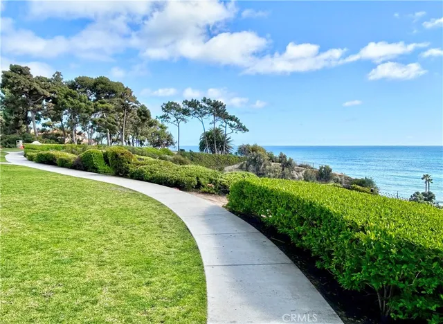 a view of a pathway both side of grassy field with shrub
