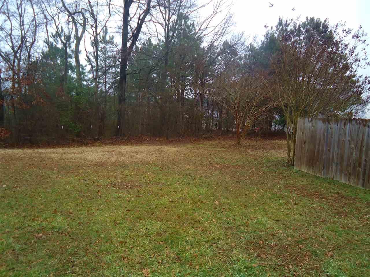 4021 Rothfield Lane Raleigh, NC 27616 - Photo 4 of 5 Photo 4