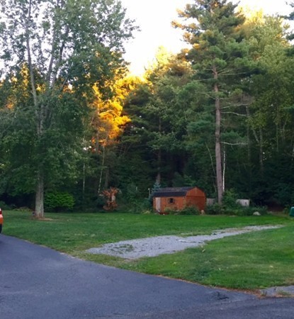 30 Douglas Road Dracut, MA 01826 - Photo 11 of 14 a front view of a house with garden and trees