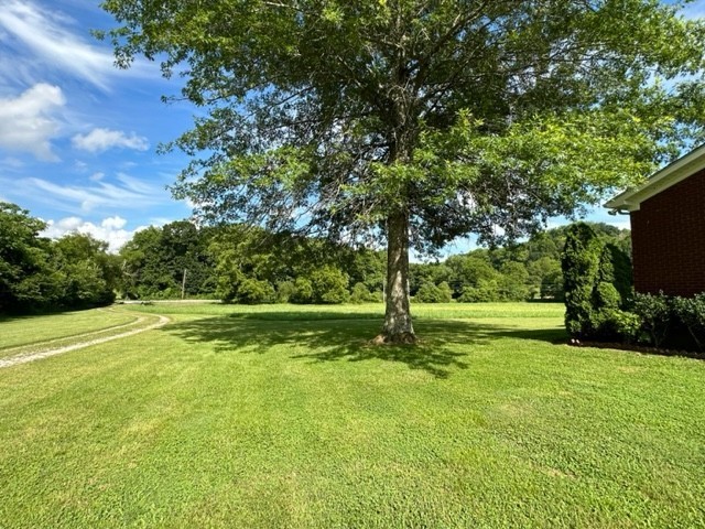 2244 Baptist Branch Road Mount Pleasant, TN 38474 - Photo 11 of 47 a view of field with trees in the background