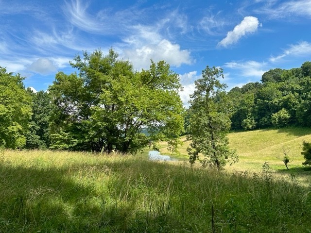 2244 Baptist Branch Road Mount Pleasant, TN 38474 - Photo 12 of 47 a view of a garden