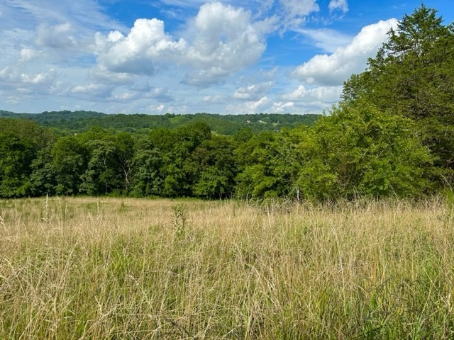 2244 Baptist Branch Road Mount Pleasant, TN 38474 - Photo 14 of 47 a view of a lake from a yard