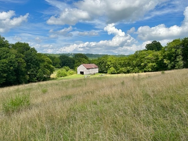 2244 Baptist Branch Road Mount Pleasant, TN 38474 - Photo 17 of 47 a view of an outdoor space and a yard