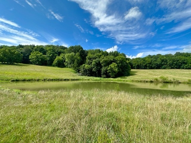 2244 Baptist Branch Road Mount Pleasant, TN 38474 - Photo 20 of 47 a view of a golf course with a lake view