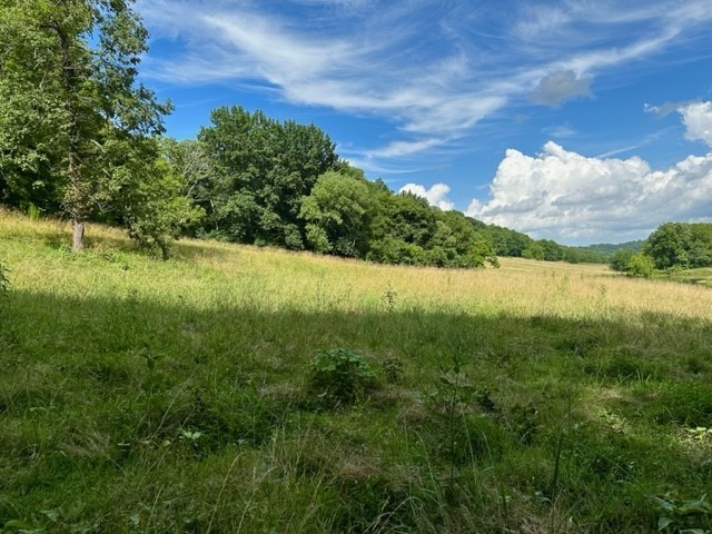 2244 Baptist Branch Road Mount Pleasant, TN 38474 - Photo 21 of 47