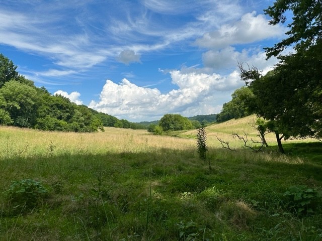 2244 Baptist Branch Road Mount Pleasant, TN 38474 - Photo 22 of 47 a view of lake with green space