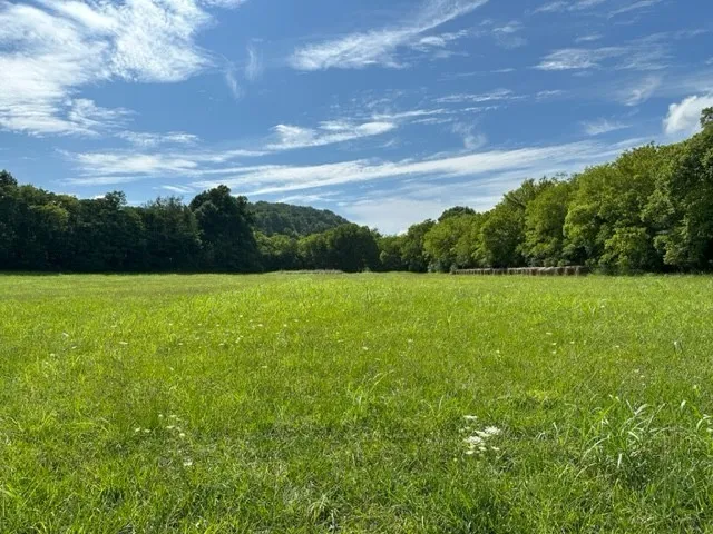 a view of a big yard with a house
