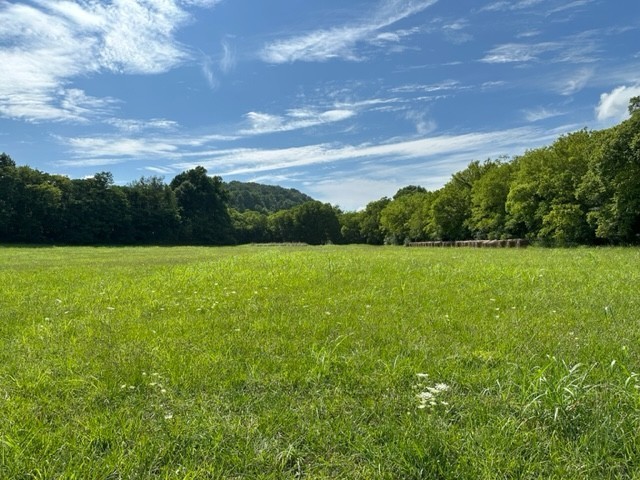 2244 Baptist Branch Road Mount Pleasant, TN 38474 - Photo 24 of 47 a view of a garden with a building in the background