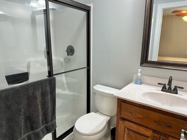 2244 Baptist Branch Road Mount Pleasant, TN 38474 - Photo 36 of 47 a bathroom with a sink a toilet a shower and a mirror