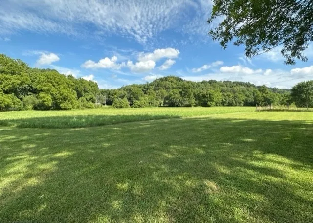 a view of a green field with an trees