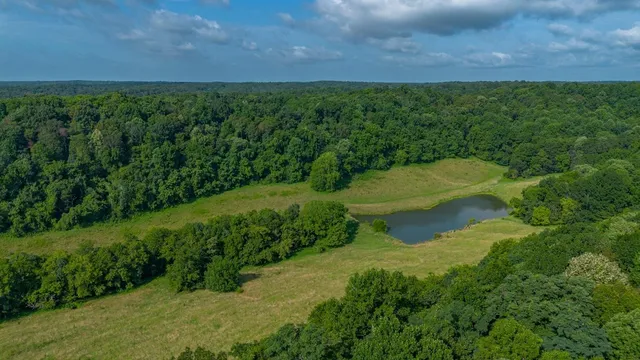 a view of a big yard with large trees