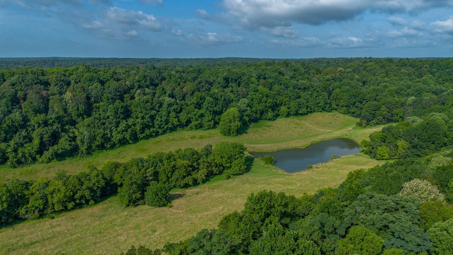2244 Baptist Branch Road Mount Pleasant, TN 38474 - Photo 45 of 47 a view of a back yard