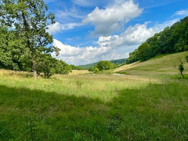 2244 Baptist Branch Road Mount Pleasant, TN 38474 - Photo 6 of 47 a view of outdoor space and yard