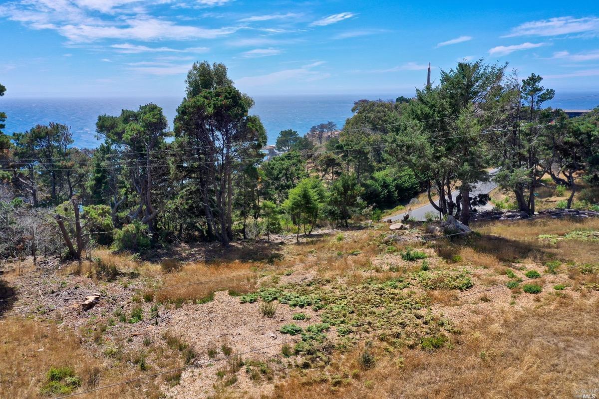 a view of outdoor space with trees all around